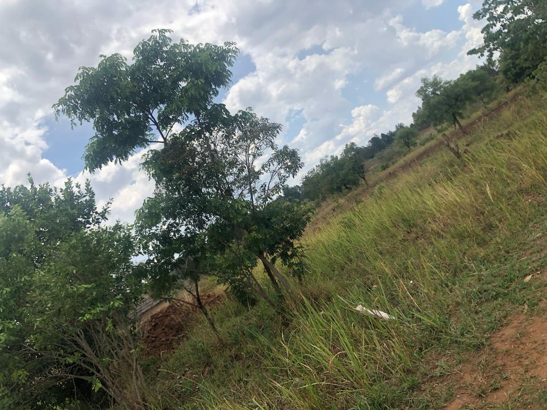 Land for Sale in Awich, Gulu City