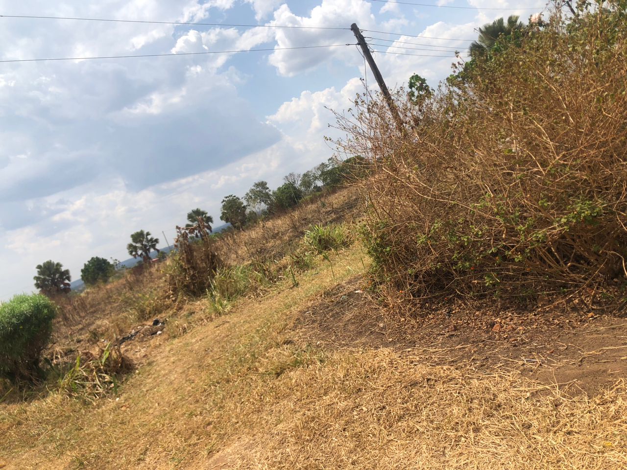 For Sale: Spacious Land in Negri Village, Gulu City