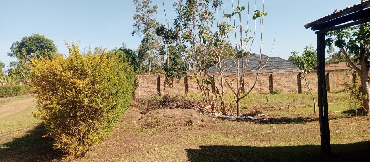 Land for Sale in Negri Village, Gulu – UGX 25M