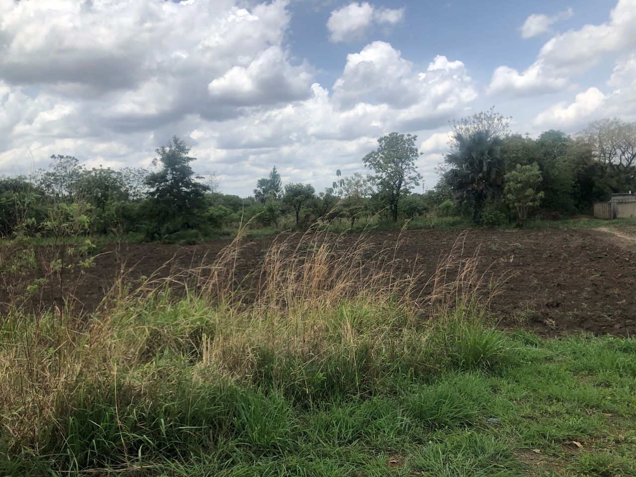 HOT DEAL! Prime Land for Sale in Pageya, Gulu District – UGX 18M 