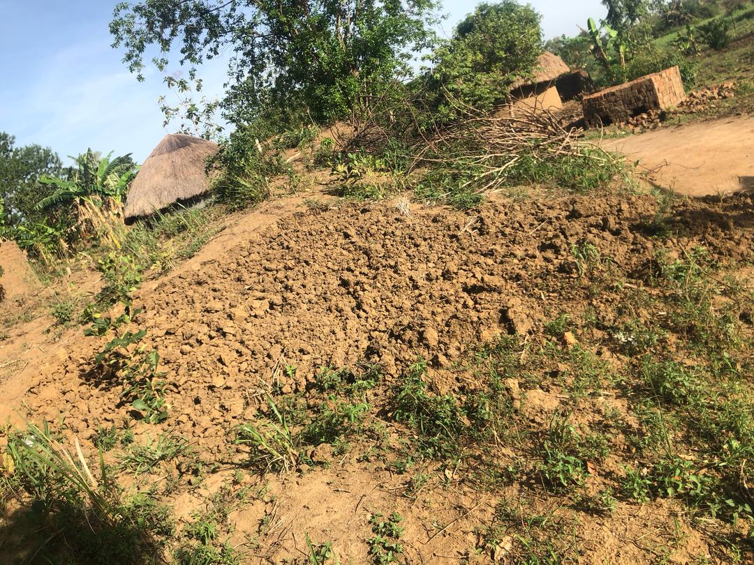 Land for Sale in Layibi Centre – Gulu City