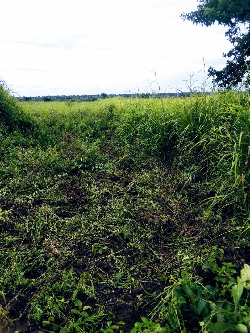 10 Acres of Land for Sale in Loyo Boo – UGX 10,000,000 per Acre.